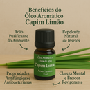 🌺 Kit Sensações Favoritas